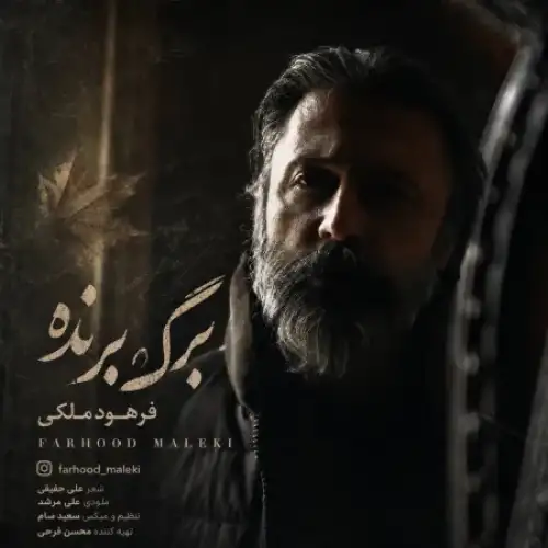 برگ برنده